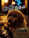 狗狗奇遇记 