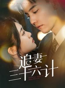 追妻三十六计 