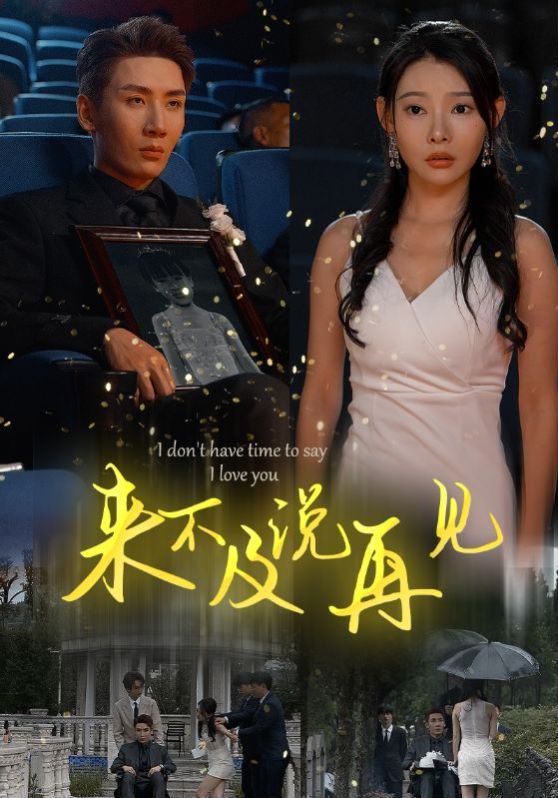 来不及说再见 